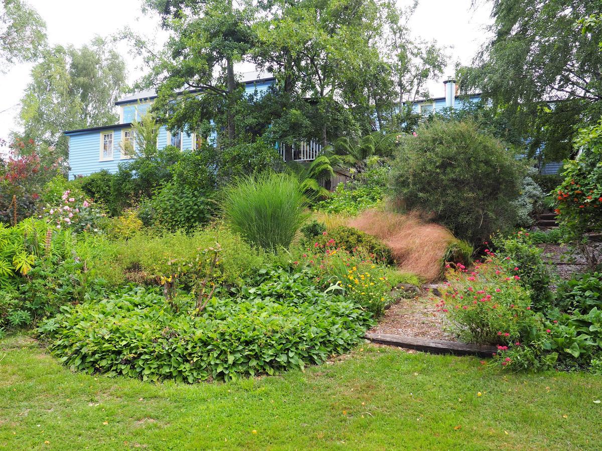 Mole Creek Guesthouse מראה חיצוני תמונה