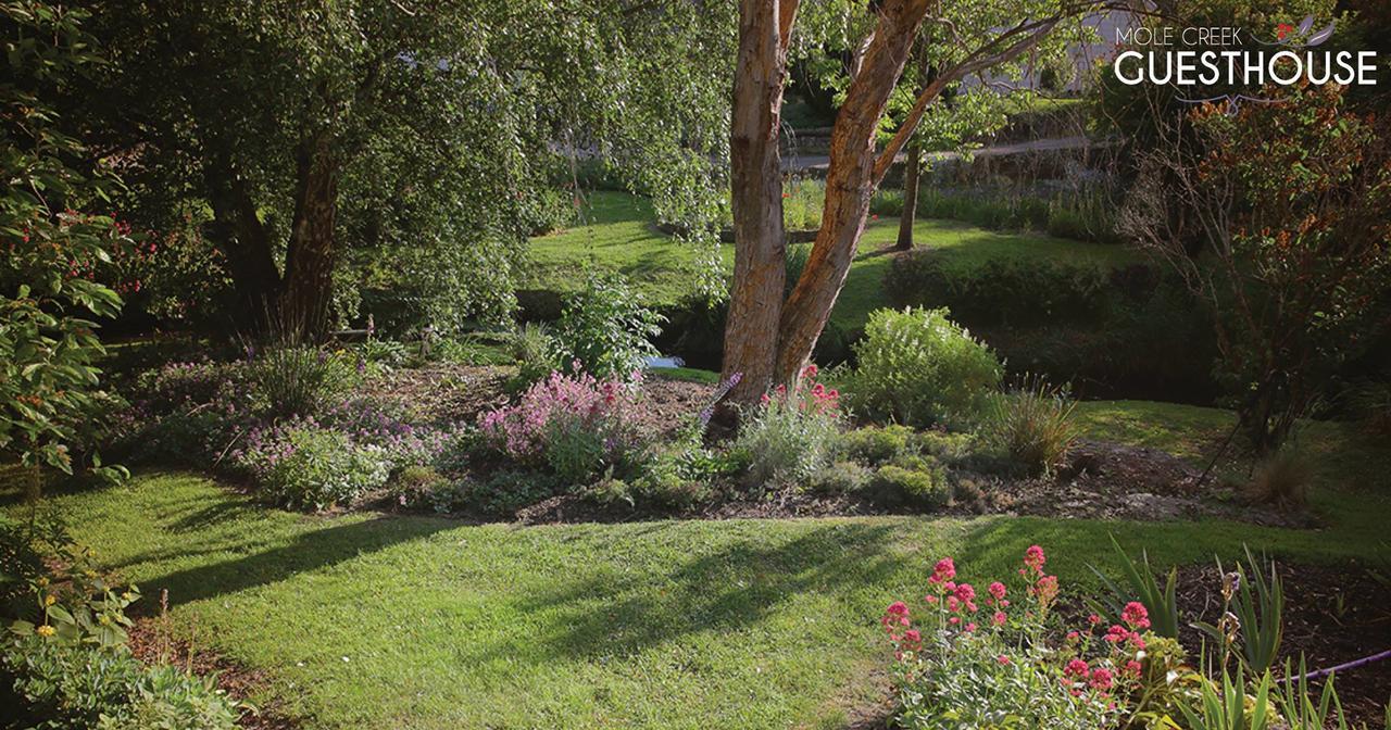 Mole Creek Guesthouse מראה חיצוני תמונה