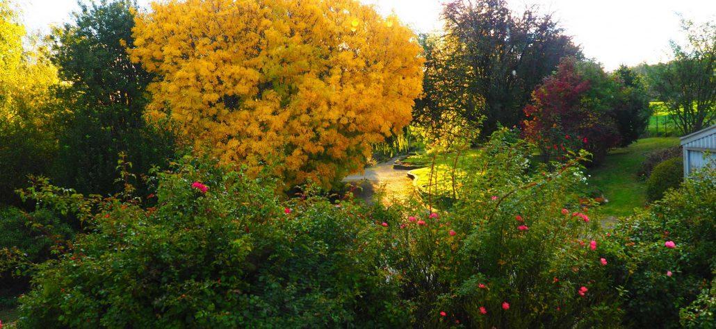 Mole Creek Guesthouse מראה חיצוני תמונה
