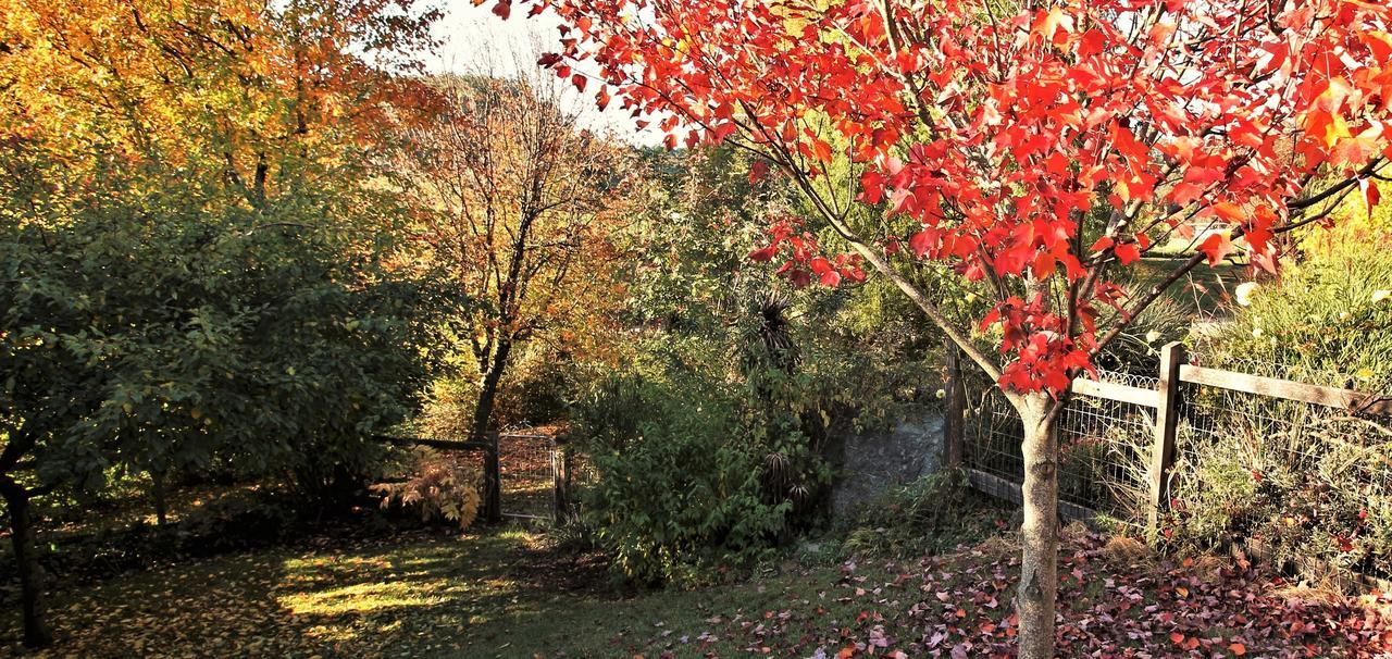 Mole Creek Guesthouse מראה חיצוני תמונה